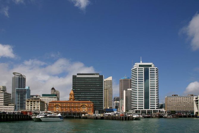Departure Transfer: Auckland Central City Centre to Auckland Airport - Who this transfer suits best in Auckland