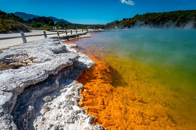 Devil's Bath Experience - Private Tour to Wai-O-Tapu & Lake Taupo - The drive stops that make the day feel local