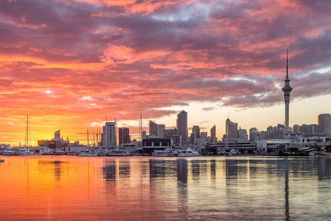 Discover Auckland City Tour: The City of Sails - Mount Eden: the most prominent cone stop for classic volcano-city views