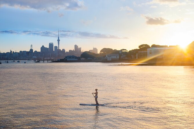 Discover Auckland City Tour: The City of Sails - Waterfront drive and the Auckland Harbour Bridge angle you should not miss
