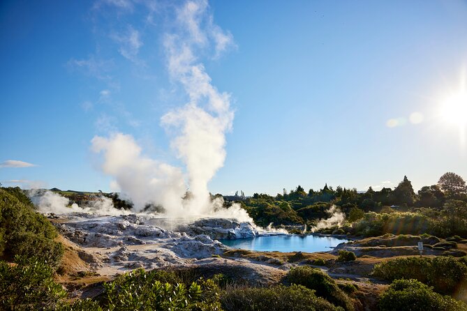 Ex Auckland: Rotorua Māori Village with Haka and Hot Springs - Price and value: what $245.13 buys you on a long day