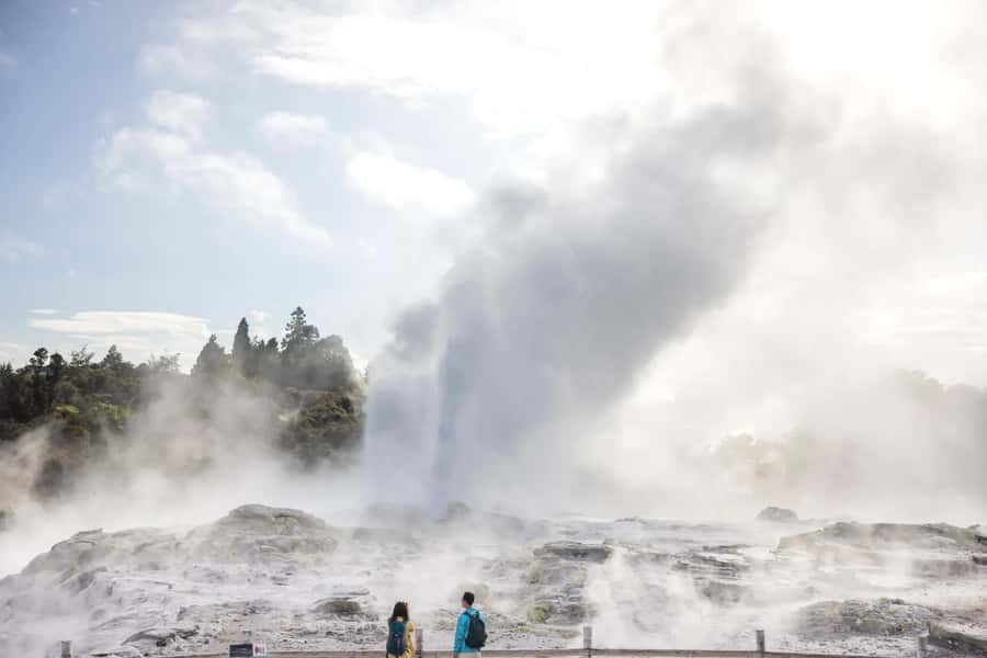 Ex Auckland: TE PUIA Geothermal, Redwood & Blue Springs - Te Whakarewarewa Thermal Valley and the Pōhutu Geyser moment