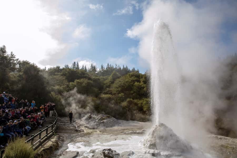 Ex Auckland: TRIPLE DEAL Wai-O-Tapu, Redwood & Blue Springs - Key reasons this “triple deal” works so well
