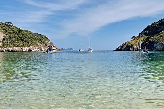 Exclusive Sailing Charter from Waiheke Island - Key points to know before you book