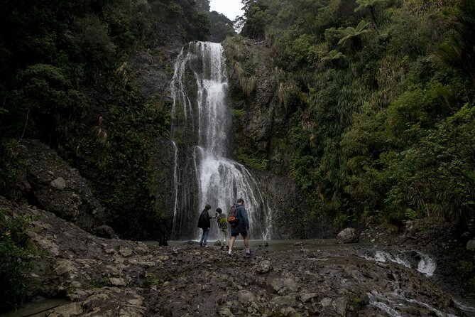 Explore BLACK SAND PIHA BEACH, and Water Falls in West Auckland - Piha Beach and Lion Rock: Black Sand, Real Surf Energy