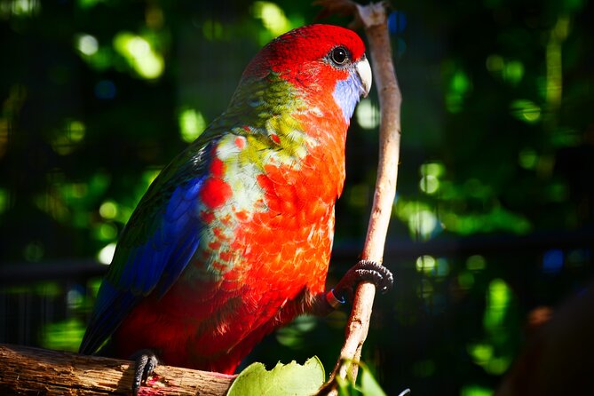 Explore gardens & galleries filled with incredible art, Matakana - Food and Drink Break: Coffee, Meal, and Local Wine