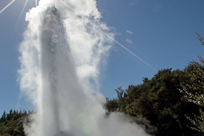 From Auckand: Waiotapu and Polynesian Spa Rotorua Day Tour - Should You Book This Auckland to Rotorua Wai-O-Tapu and Polynesian Spa Day Tour?