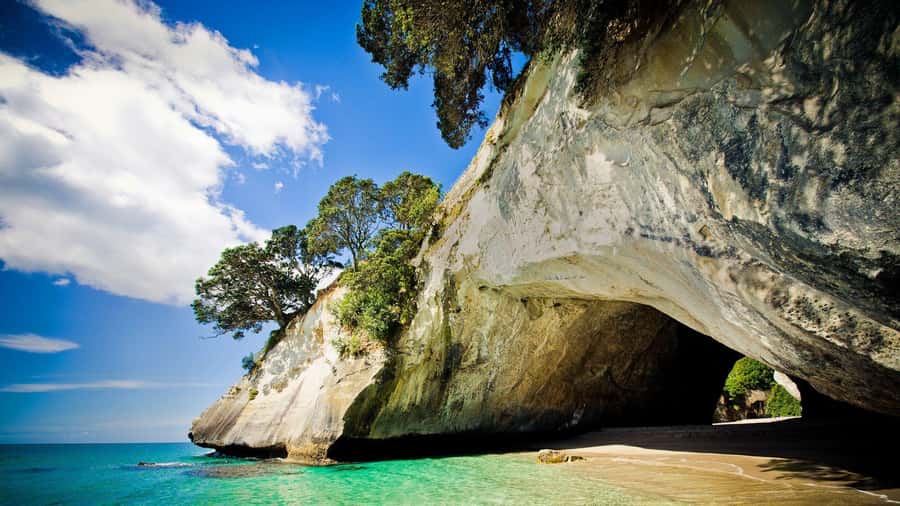 From Auckland: Cathedral Cove & Hot Water Beach Tour - Key things to know before you go