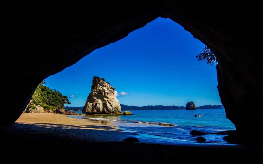 From Auckland: Cathedral Cove & Hot Water Beach Tour - Getting from Auckland to Coromandel: van time and pickup reality