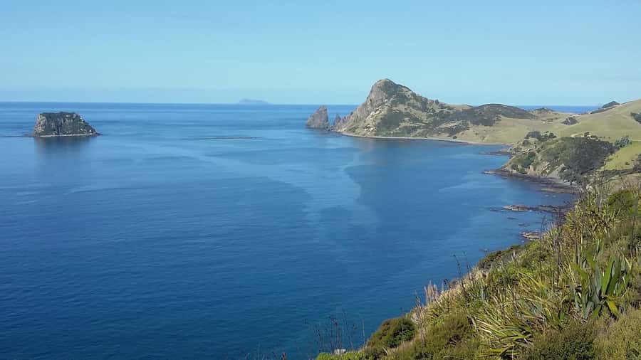 From Auckland: Cathedral Cove & Hot Water Beach Tour - Hahei stop: a chance to breathe, stretch, and grab what you need