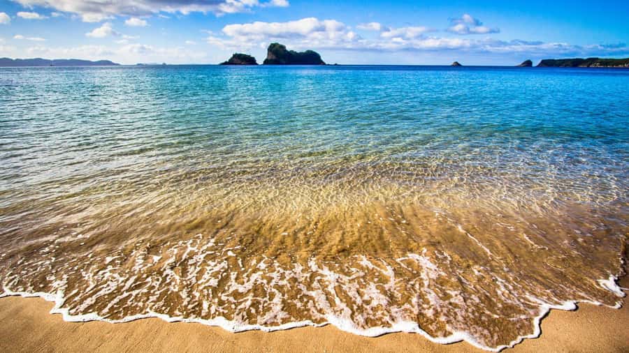From Auckland: Cathedral Cove & Hot Water Beach Tour - Lunch that’s kiwi-style, but not included