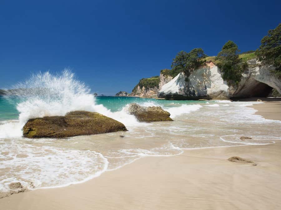 From Auckland: Cathedral Cove & Hot Water Beach Tour - Cathedral Cove Marine Reserve: cliff-top views and that Narnia rock arch