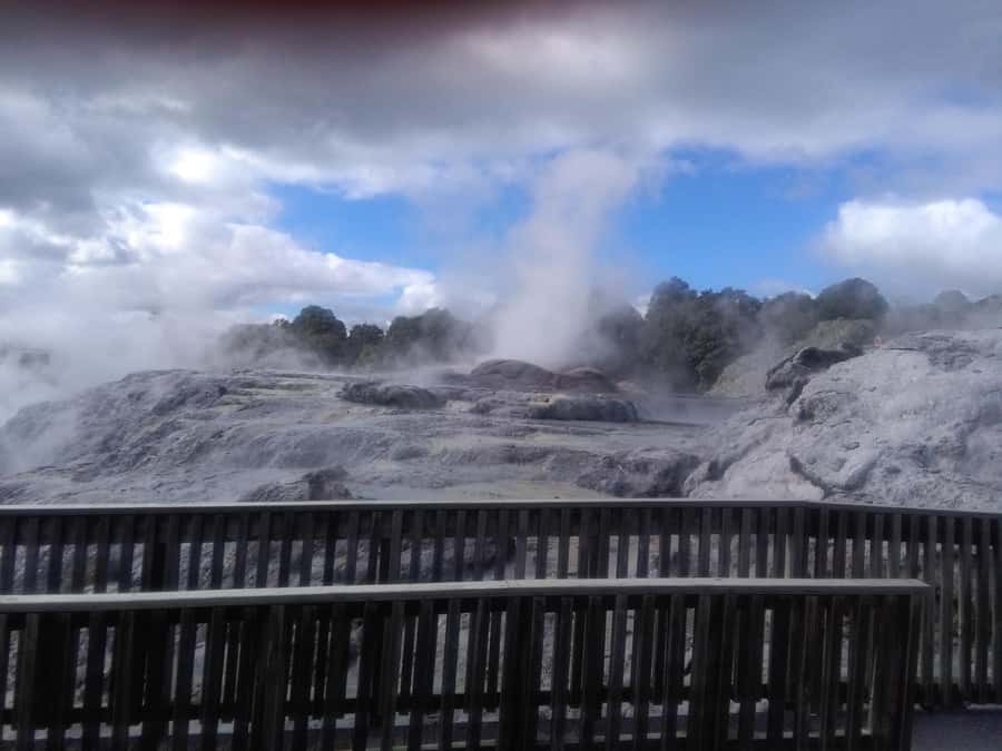 From Auckland: Day Trip to Rotorua with Optional extras - Te Puia and the hangi lunch, the cultural core of the day