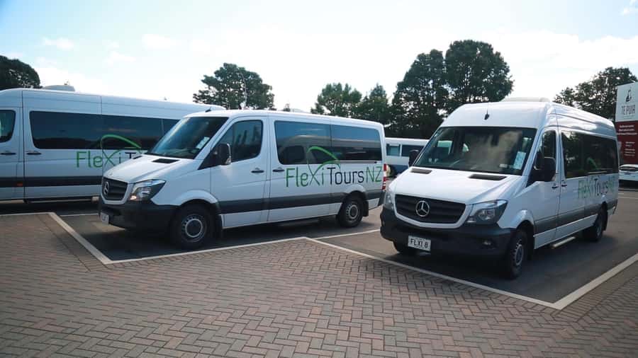 From Auckland: Day Trip to Rotorua with Optional extras - Premium minibus comfort and a small-group feel that matters