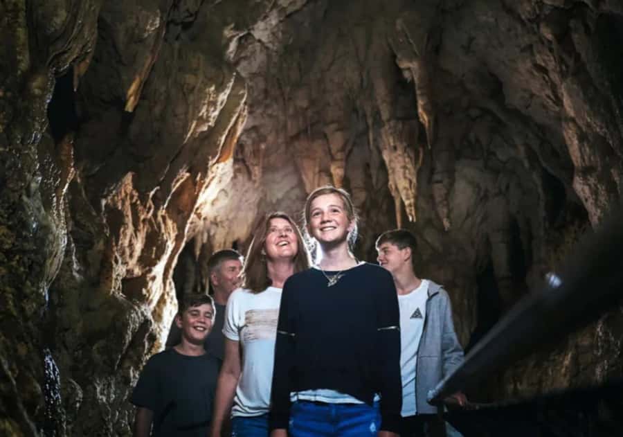 From Auckland: Day Trip to Waitomo Glow Worm Caves - Inside the Waitomo Glowworm Caves: what the guide actually adds
