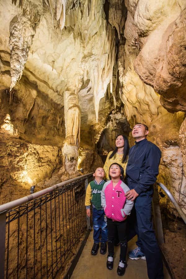 From Auckland: Day Trip to Waitomo Glow Worm Caves - Comfort, accessibility, and who this tour suits best