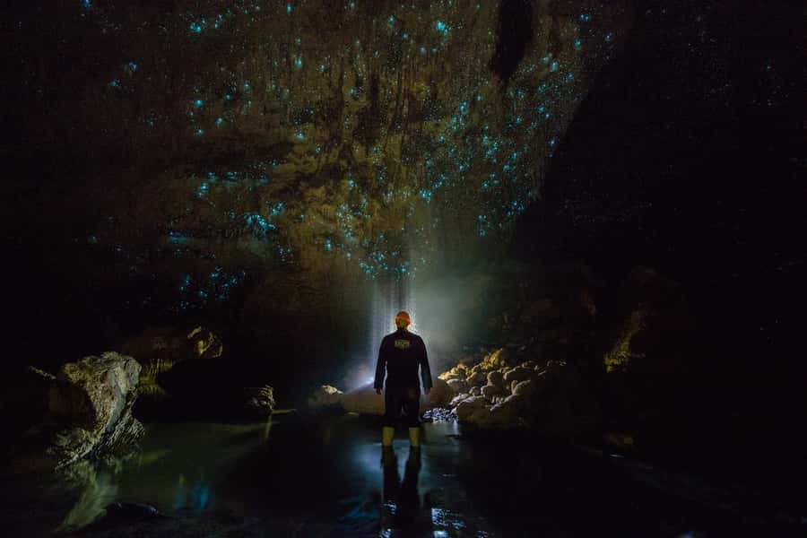 From Auckland: Day Trip to Waitomo Glow Worm Caves - Practical tips for your cave and boat experience