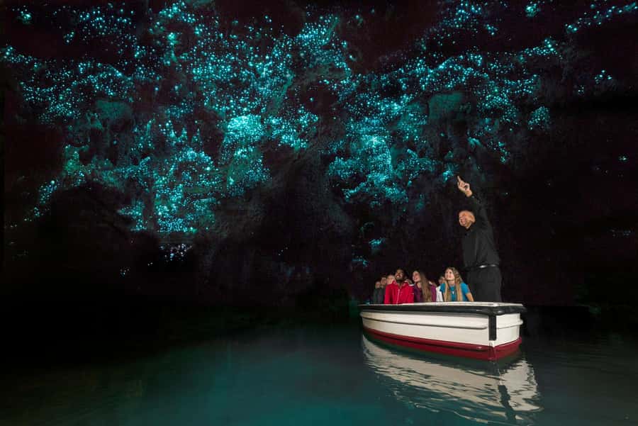 From Auckland: Day Trip to Waitomo Glow Worm Caves - The scenic Waikato drive, and why the timing matters