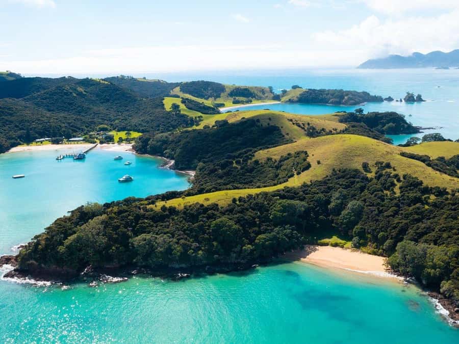 From Auckland: Full Day Private Tour to the Bay of Islands - Who Should Book This Bay of Islands Day Trip, and Who Should Skip It?