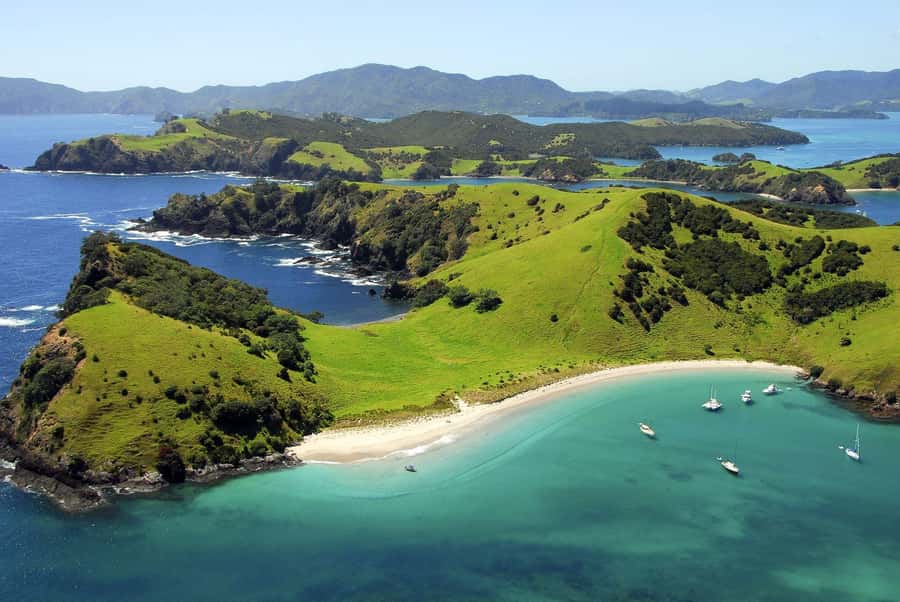 From Auckland: Full-Day Tour to the Bay of Islands - Key things I’d watch for on this Bay of Islands day trip