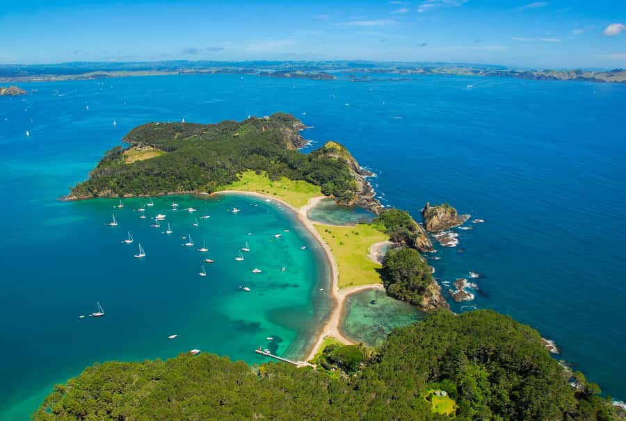 From Auckland: Full-Day Tour to the Bay of Islands - Auckland pickup and the long Far North drive