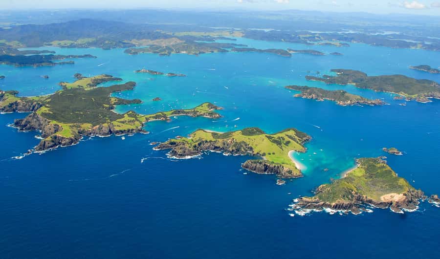 From Auckland: Full-Day Tour to the Bay of Islands - Dolphin spotting on the Bay of Islands, what to actually expect