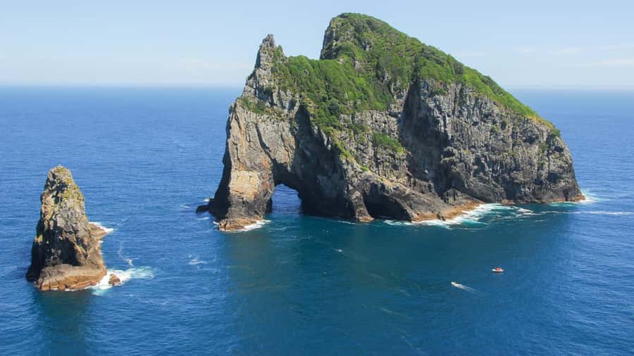 From Auckland: Full-Day Tour to the Bay of Islands - The return drive to Auckland, plus the Maori timeline you’ll hear