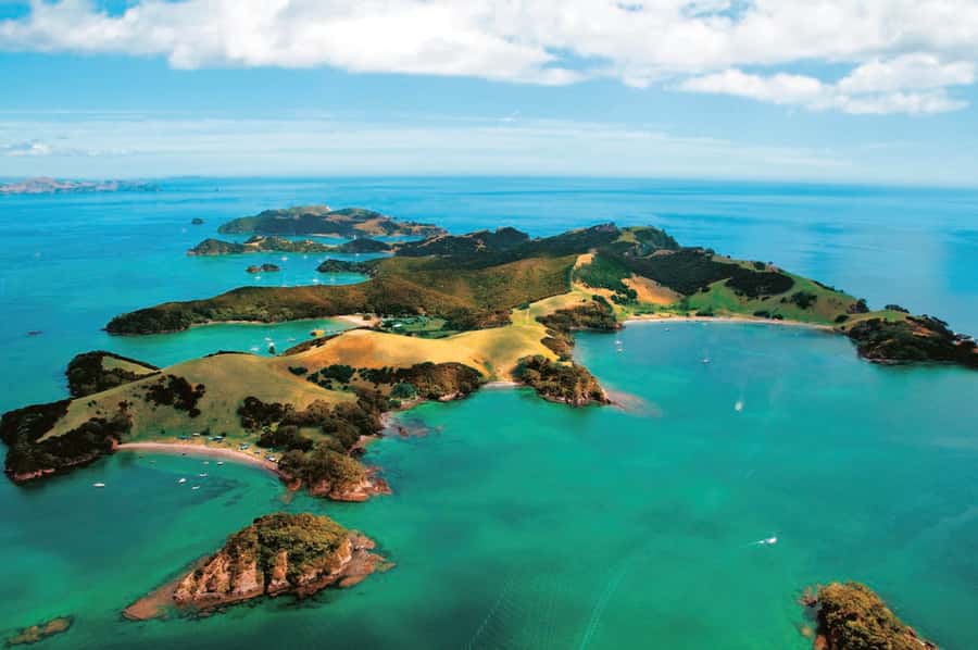 From Auckland: Full-Day Tour to the Bay of Islands - Comfort, timing, and the small stuff that changes your day