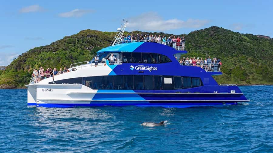 From Auckland: Full-Day Tour to the Bay of Islands - Who this Bay of Islands day trip suits best