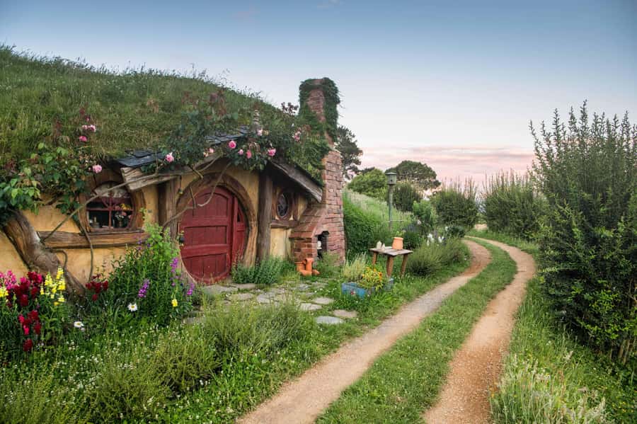 From Auckland: Guided Hobbiton Movie Set Small Group Tour - Price and value at about $173 per person