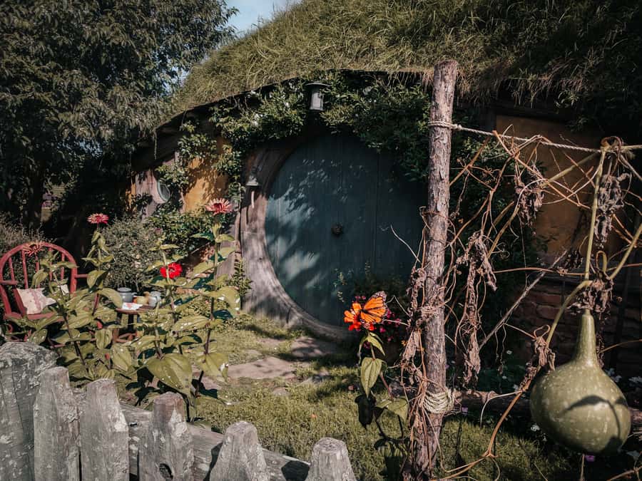 From Auckland: Hobbiton Afternoon Tour - Key things to know before you go