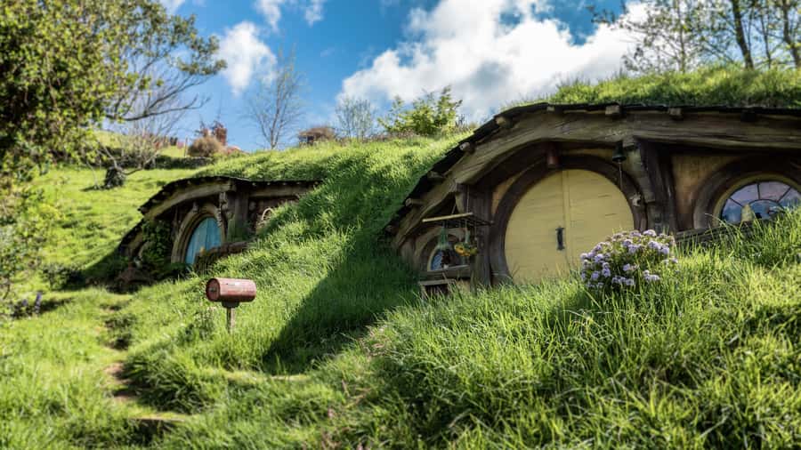 From Auckland: Hobbiton Afternoon Tour - Why the late start changes the whole Hobbiton day