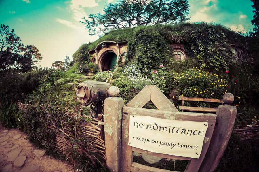From Auckland: Hobbiton Afternoon Tour - The Waikato drive: dairy country scenery and photo stops