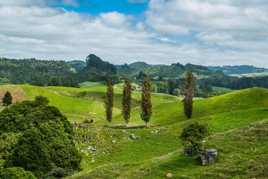 From Auckland: Hobbiton and Waitomo Day Tour with Lunch - Key things I’d focus on