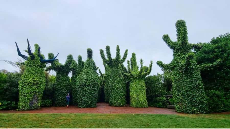 From Auckland: Hobbiton & Hamilton Gardens Small Group Tour - Key Things to Know Before You Go