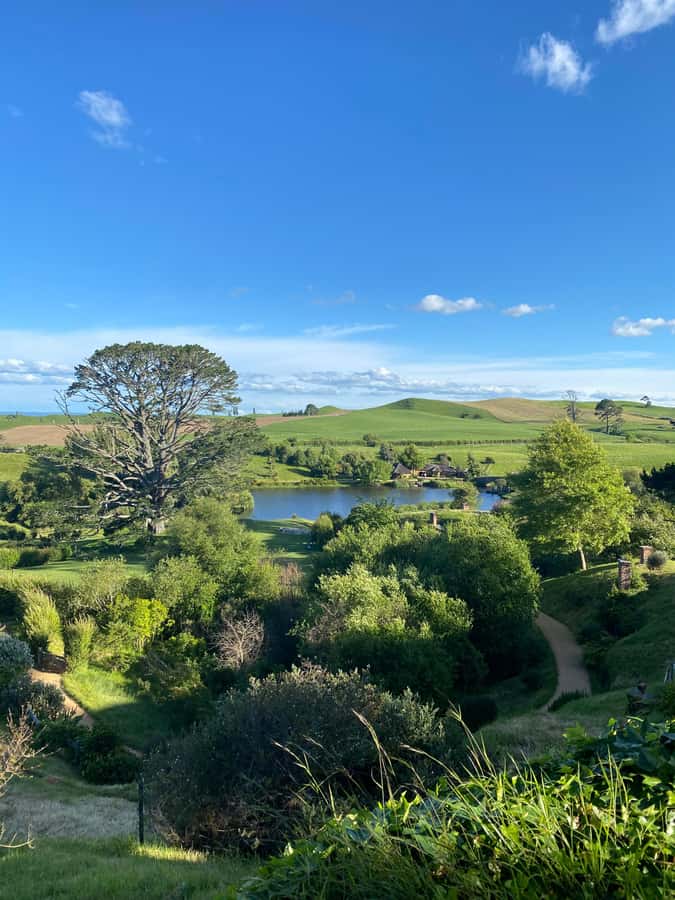 From Auckland: Hobbiton & Hamilton Gardens Small Group Tour - Who Should Book This Tour, and Who Should Skip It
