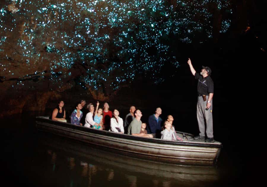 From Auckland: Hobbiton Movie Set and Waitomo Caves Tour - The return drive: views, then you’re back in Auckland