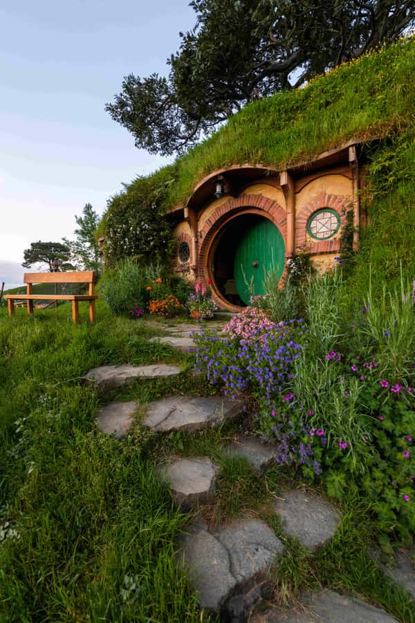 From Auckland: Hobbiton Movie Set and Waitomo Caves Tour - Price and value: is $234 fair for what you get?