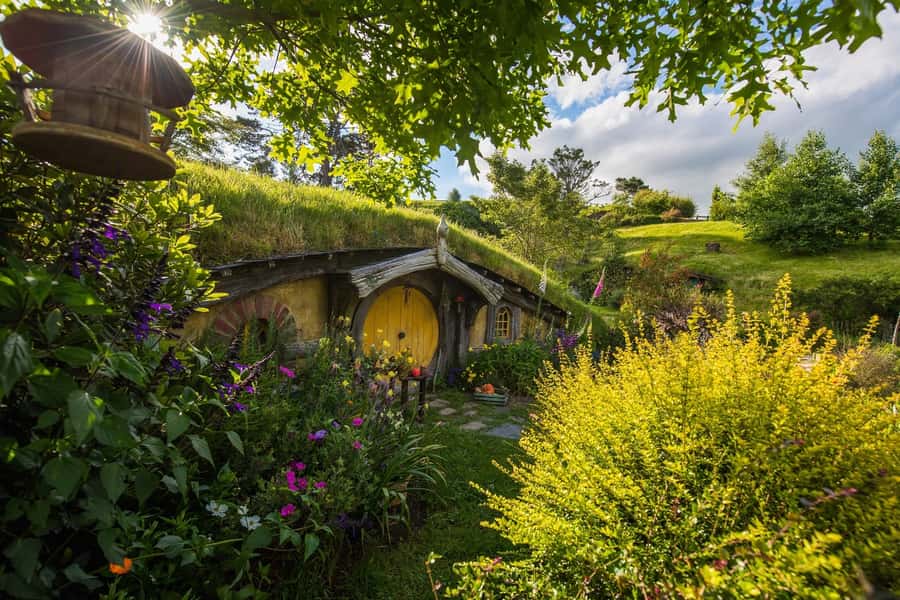 From Auckland: Hobbiton Movie Set Full-Day Small-Group Trip - Key highlights that make this Hobbiton trip worth your day