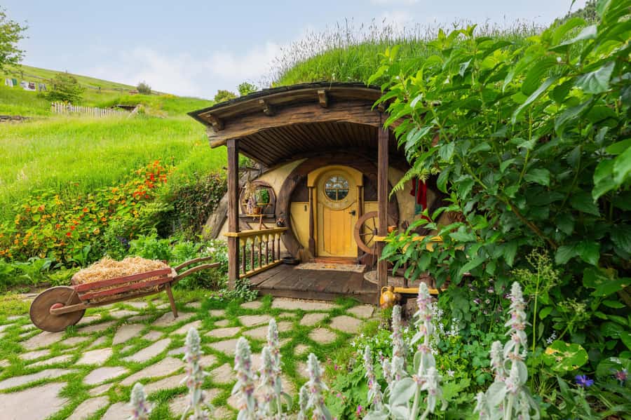 From Auckland: Hobbiton Movie Set Full-Day Trip - Alexander Family Sheep Farm and Shire’s Rest sets the tone