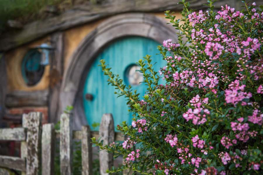 From Auckland: Hobbiton Movie Set Trip with Guided Tour - Kaimai Ranges views and farm scenery that make the day feel longer