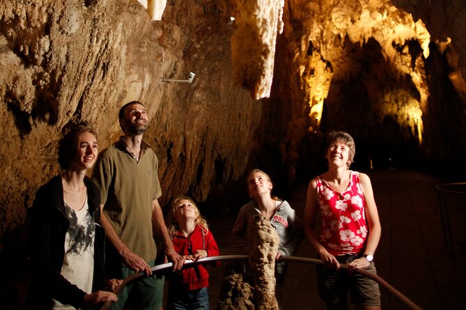 From Auckland:Hobbiton Movie Set & Waitomo Caves Small Group Tour - Waitomo Glowworm Caves: limestone formations and the Glowworm Grotto boat ride