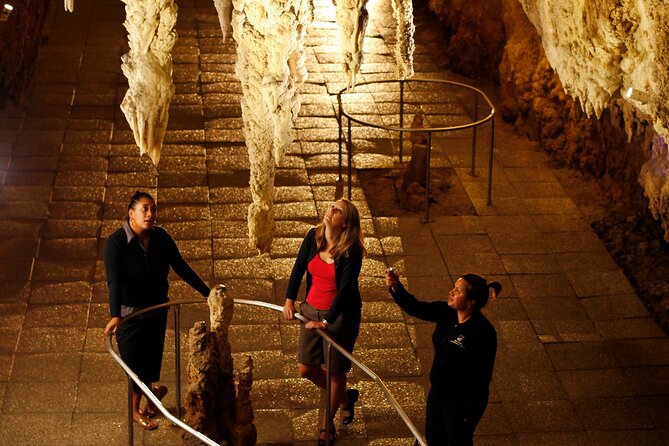 From Auckland:Hobbiton Movie Set & Waitomo Caves Small Group Tour - The drive through the Waikato region to Hobbiton