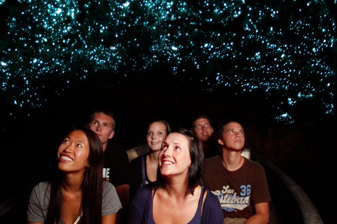 From Auckland:Hobbiton Movie Set & Waitomo Caves Small Group Tour - Price and value at about $257.54: why this bundle can make sense