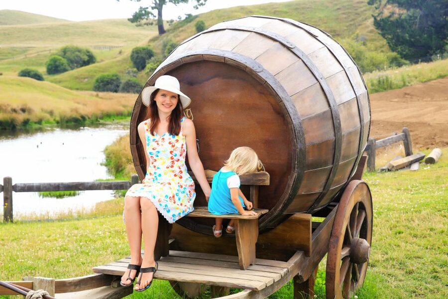 From Auckland: Hobbiton & Rotorua Tour with Lunch at Te Puia - Should you book FlexiToursNZ for Hobbiton and Te Puia?
