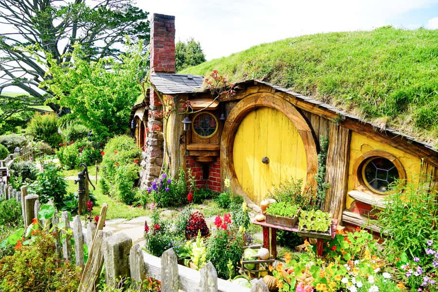 From Auckland: Hobbiton & Rotorua Tour with Lunch at Te Puia - From central Auckland to the countryside: the ride that makes or breaks the day