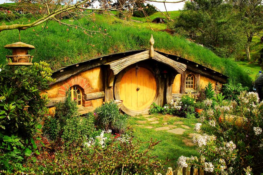 From Auckland: Hobbiton & Rotorua Tour with Lunch at Te Puia - Te Puia in Rotorua: geothermal drama, Māori culture, and a buffet lunch with real views