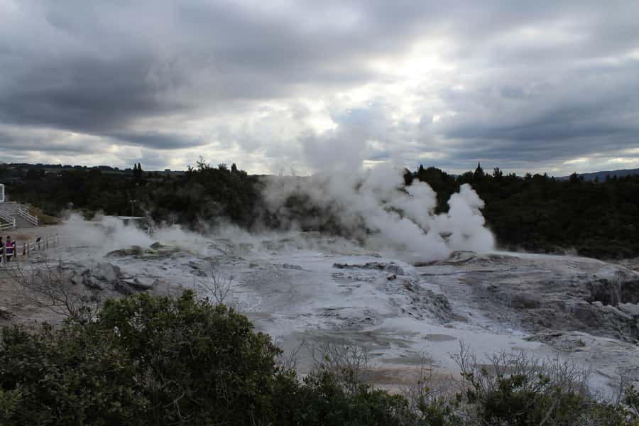 From Auckland: Hobbiton & Rotorua Tour with Lunch at Te Puia - Guides and organization: what you are paying for besides ticket lines