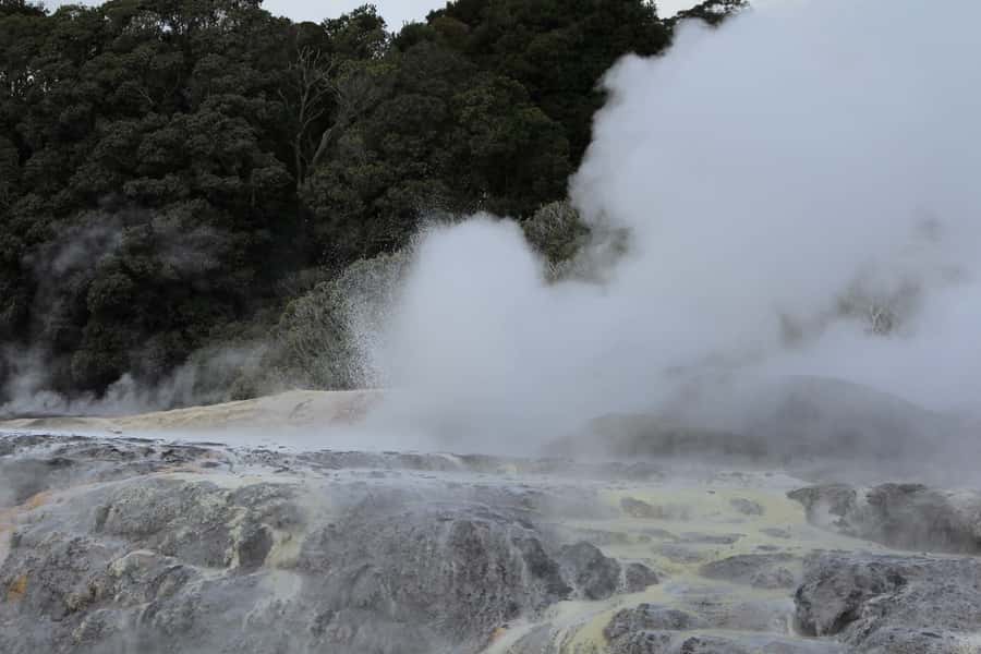 From Auckland: Hobbiton & Rotorua Tour with Lunch at Te Puia - Price and value: $286 for two icons, one full day, and less hassle