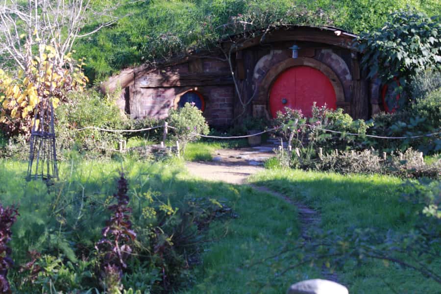 From Auckland: Hobbiton & Rotorua Tour with Lunch at Te Puia - Who should book this day trip, and who should skip it